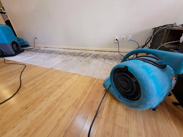 Professional Structural Drying technician working in Volin, SD